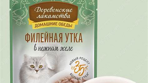 Влажный корм для кошек: Полное руководство по выбору, преимуществам и подводным камням