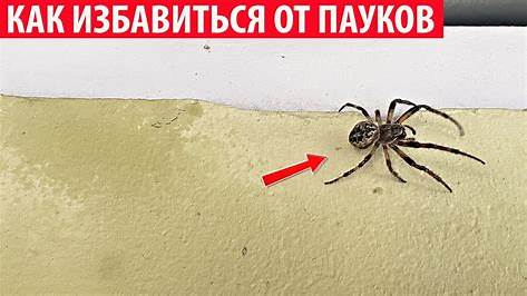 Загадка Привидений в Пригородном Доме: Как Распознать, Избавиться и Защититься
