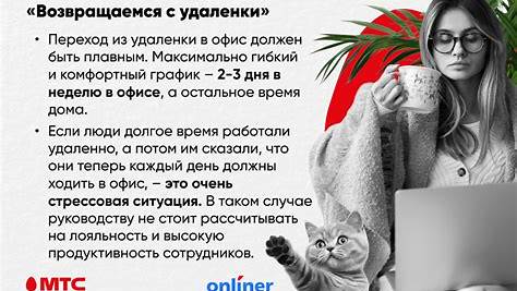 Как выжить в офисе: от адаптации до продуктивности в условиях гибридной работы