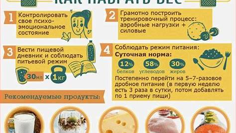 Как набрать вес эффективно и здорово: руководство по набору массы без вреда для организма