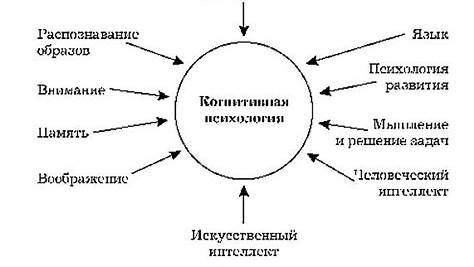 Когнитивная психология: ключ к пониманию нашего разума и улучшению жизни