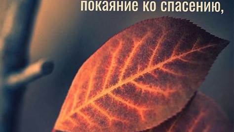 Приготовьтесь к худшему, надейтесь на лучшее: Как выжить, когда мир рушится