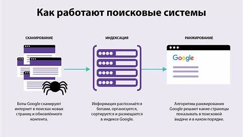 Тайны SEO: Как поисковые системы ранжируют контент и что это значит для вашего бизнеса